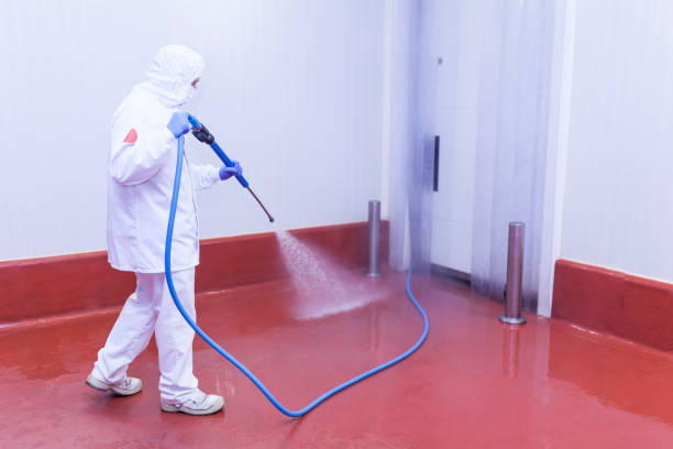 Reliable Breckinridge Center, KY Pressure Washing Services Solutions